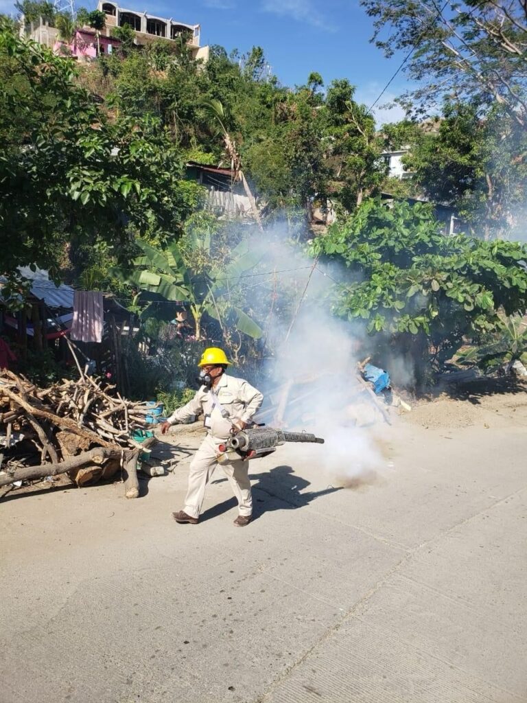 Refuerza la SSG acciones contra el vector transmisor del dengue en la entidad