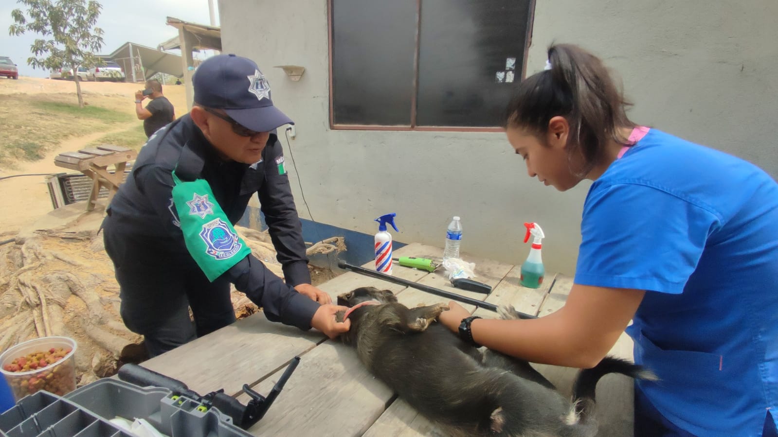 Realizan jornada de esterilización canina y felina en el cuartel regional de la Policía Estatal de Acapulco