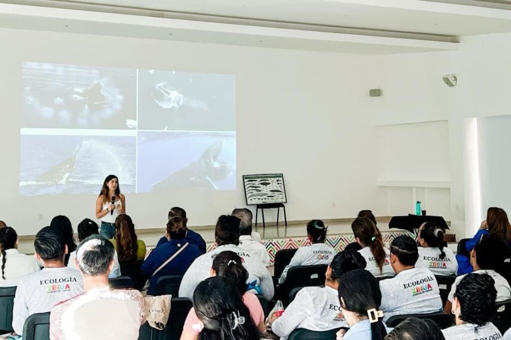 Deja importante aprendizaje conferencia sobre la ballena jorobada auspiciada por el gobierno de Zihuatanejo