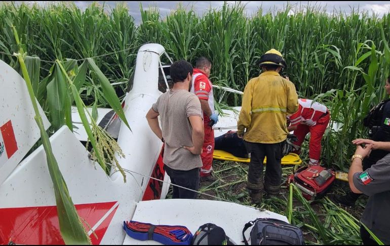 Se desploma avioneta fumigadora en campo agrícola de Culiacán
