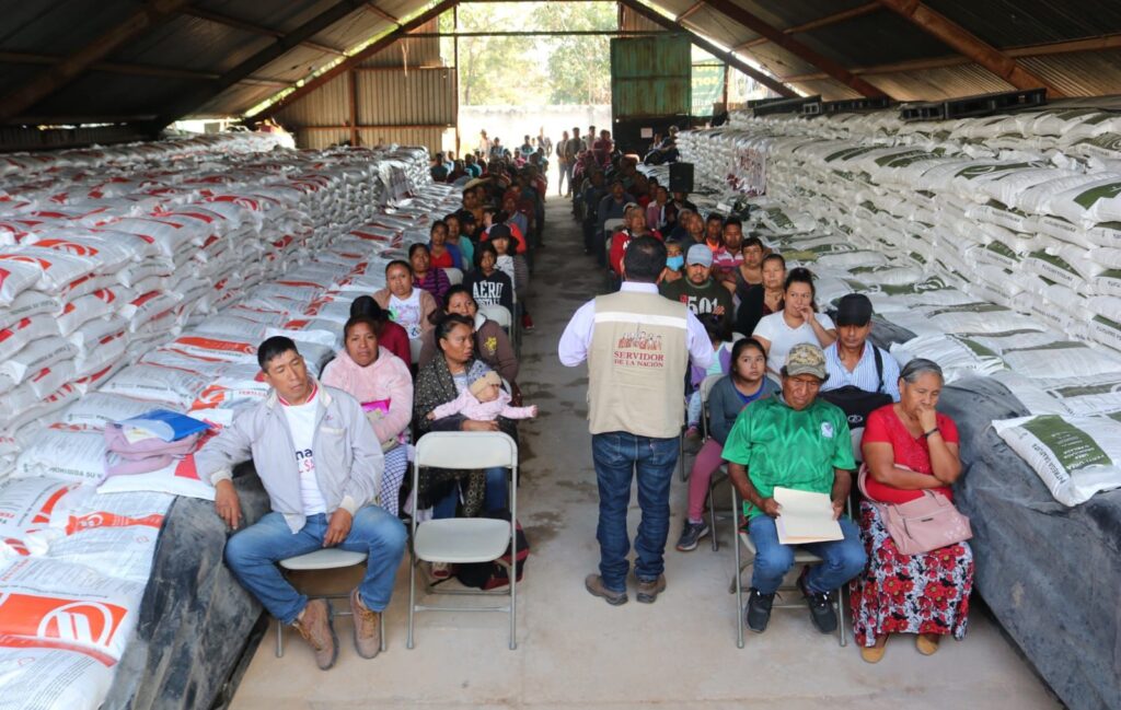 Guerrero… Los cafeticultores recibirán fertilizante gratuito por instrucciones de AMLO