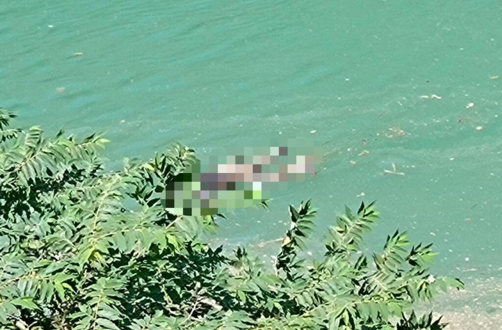 En Tierra Colorada… Flota el cadáver de una persona en la presa La Venta, en Omitlán