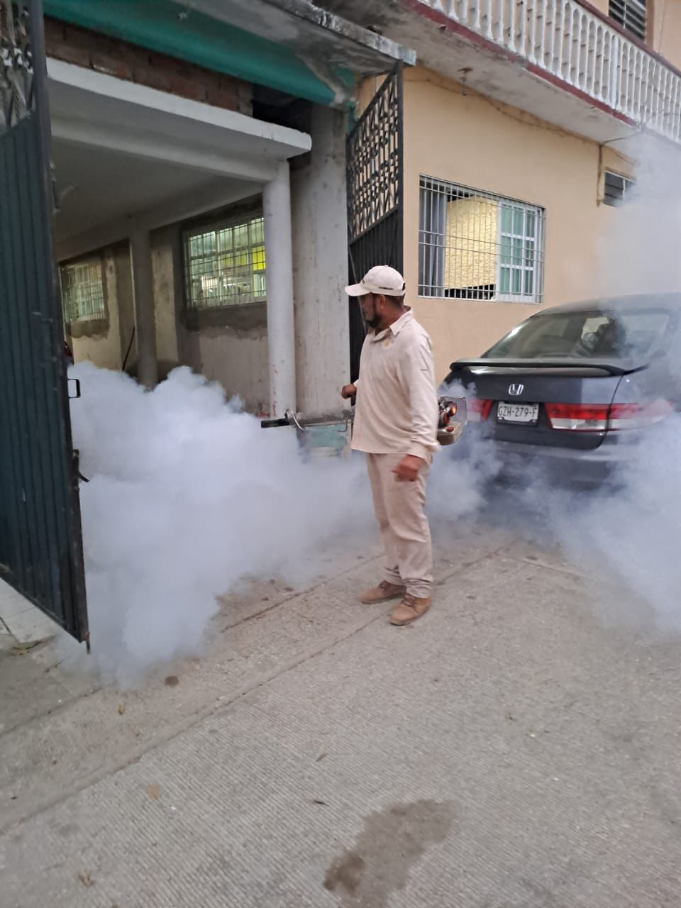 Registra Guerrero disminución de casos de dengue: SSG