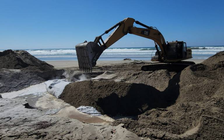 Entierran a la ballena gris hallada muerta en Playa Bonfil