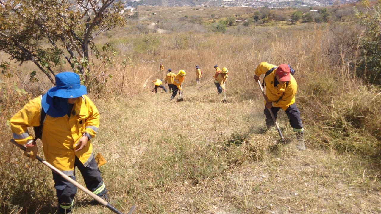 Continúa SGIRPCGRO realizando acciones preventivas en zonas propensas a incendios forestales y suburbanos en Chilpancingo