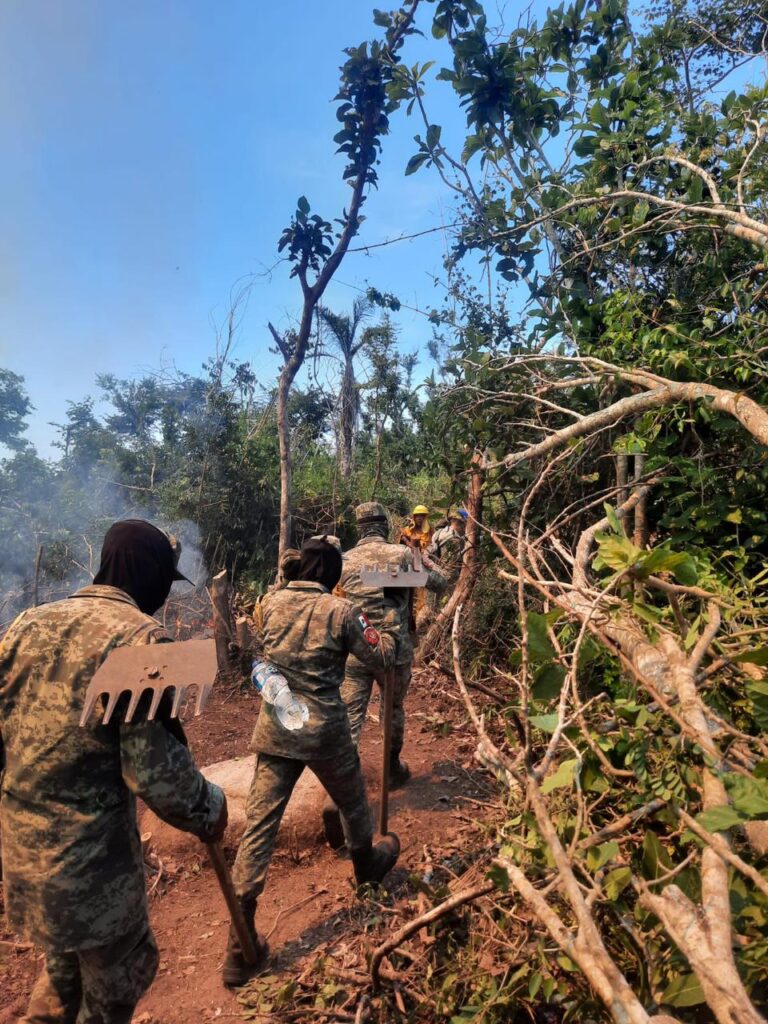 Continúan las labores de sofocación del incendio en el Parque Nacional El Veladero en Acapulco