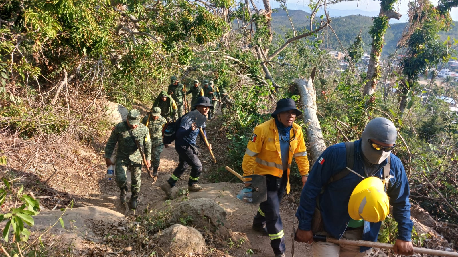 Gobierno del estado atiende tres incendios forestales en activo en el municipio de Acapulco