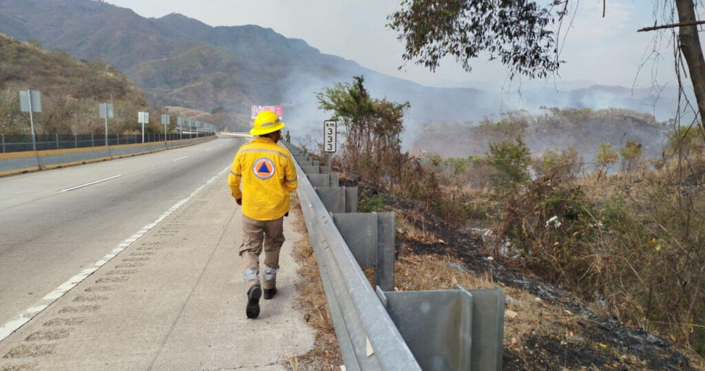 En Guerrero… Los incendios ya han afectado 20 mil hectáreas de bosques: Arroyo Matus