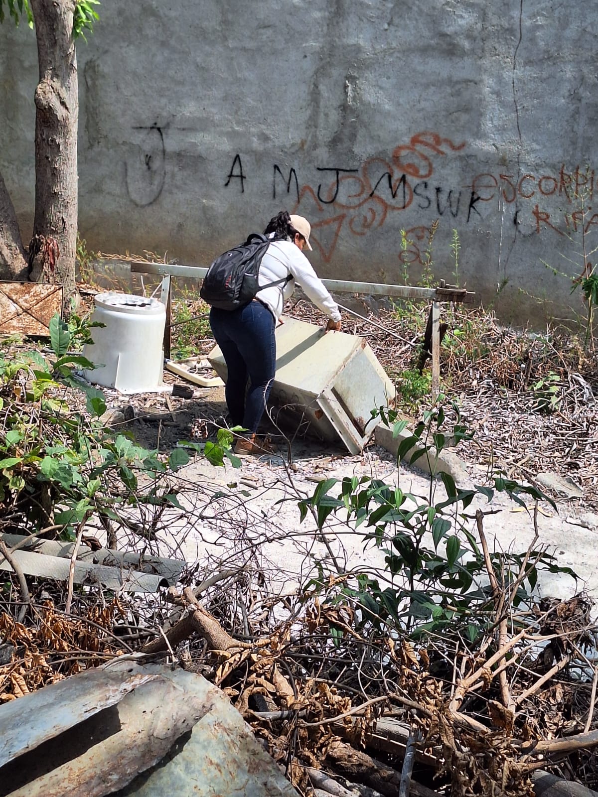 Mantiene la SSG acciones de control y fumigación para evitar la propagación del dengue