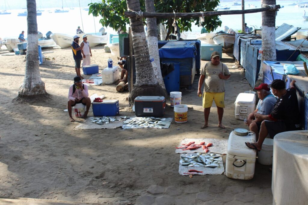 Aumento en precios de pescados y mariscos impacta el bolsillo de turistas