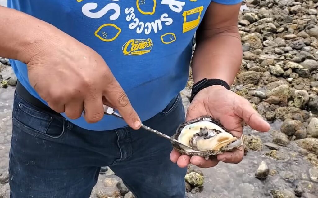 Incertidumbre en el sector pesquero por fenómeno natural