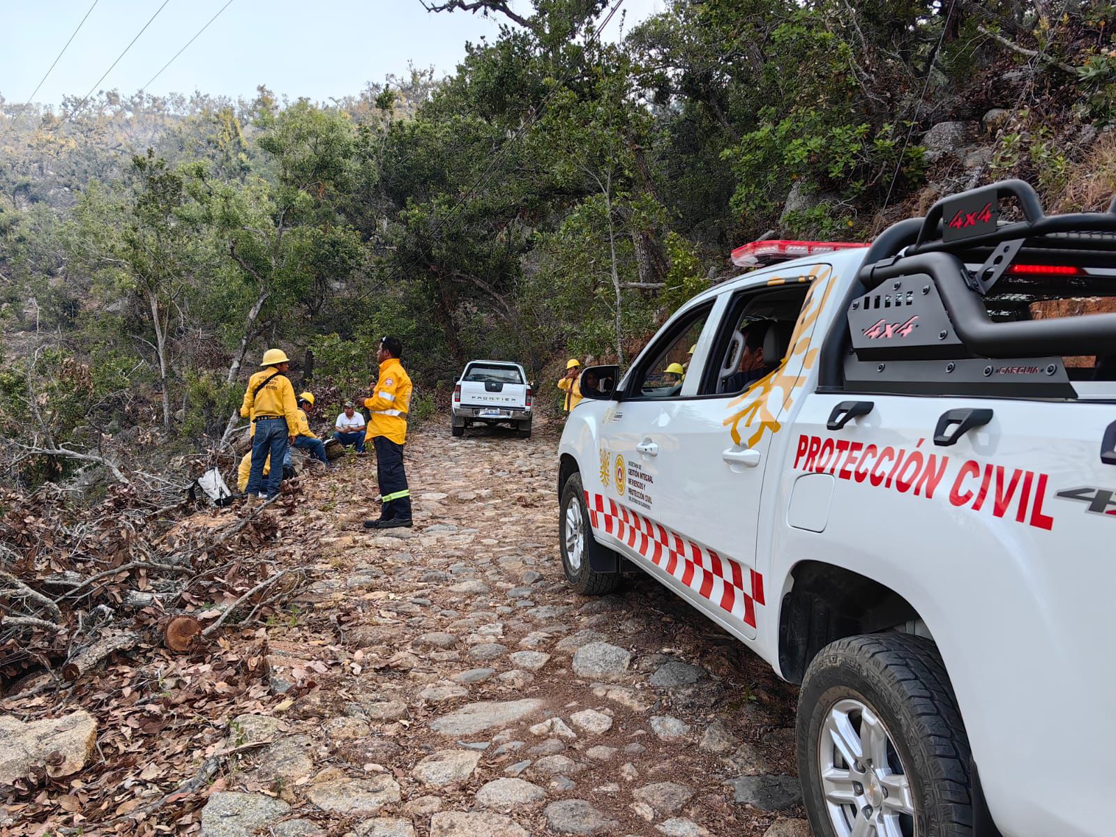 Gobierno del Estado atiende nuevo incendio forestal en terrenos del parque nacional “El Veladero”