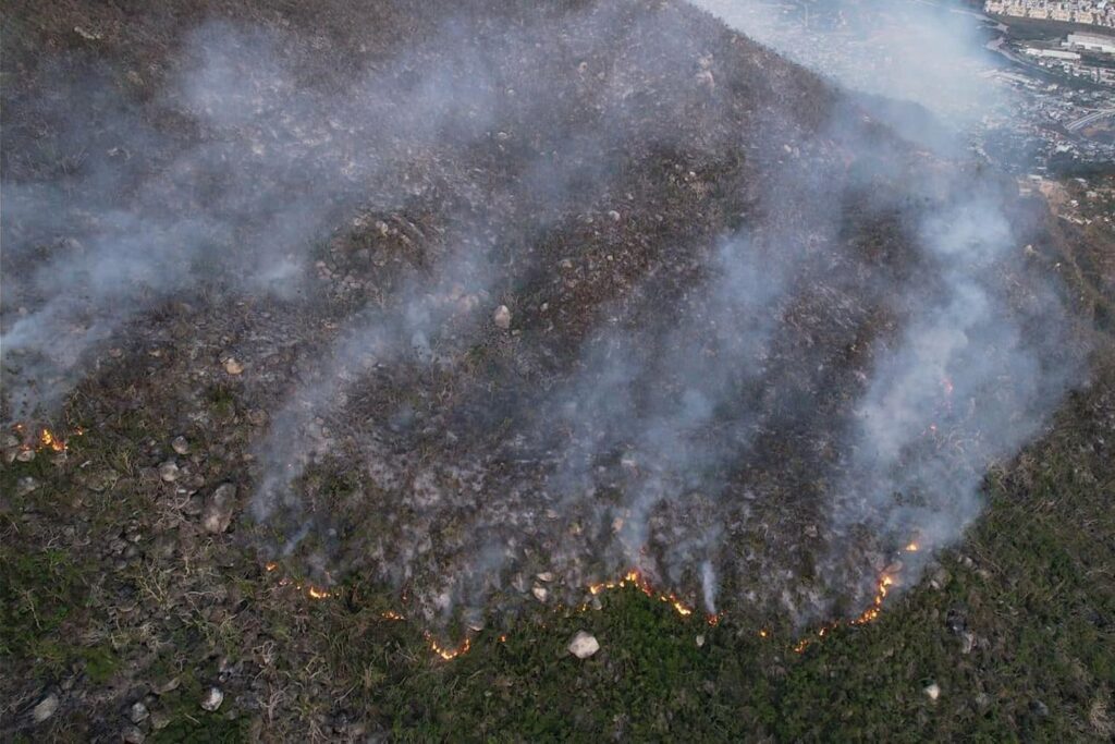Incendios forestales de Acapulco no representan riesgo para viviendas cercanas