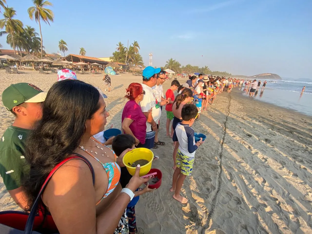 La liberación de tortuguitas atrae a turistas nacionales y extranjeros