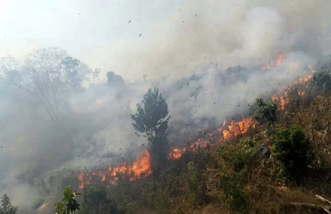 Incendio arrasa con 100 hectáreas en la sierra de Atoyac