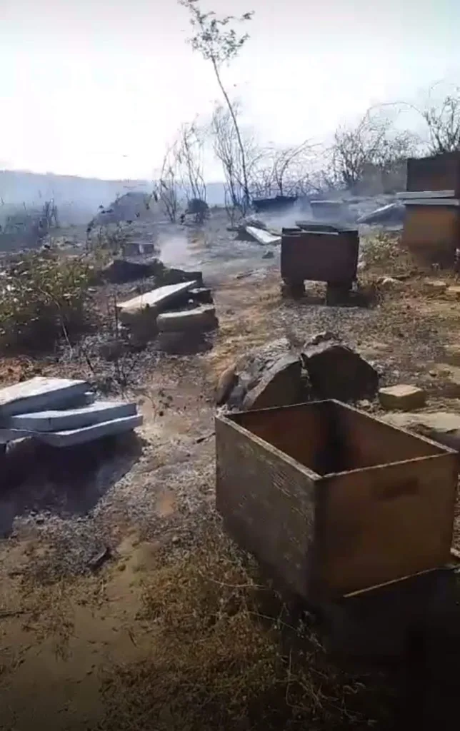 Fuerte incendio arrasa con huertas, sembradíos y apiarios en Atoyac