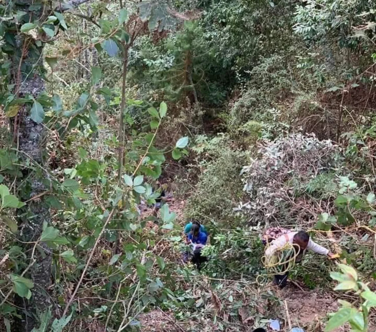 En Tlapa… Cuatro lesionados al caer un taxi abarranco de 25 metros de profundidad