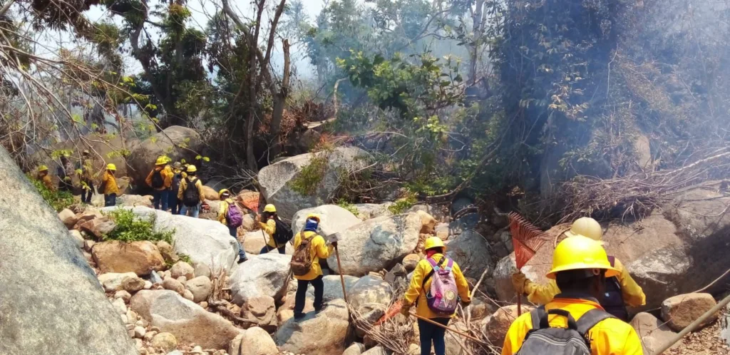 Personal de los tres órdenes de gobierno trabajan en la sofocación de del incendio forestal en “El Veladero”