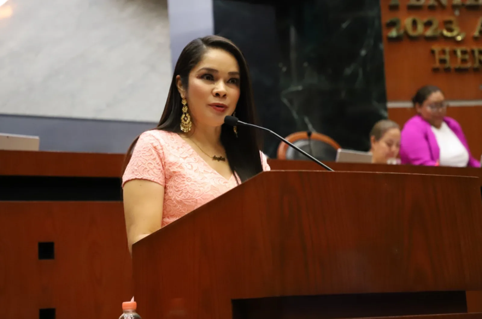 Plantean reformas para reducir los efectos de las sequías en Guerrero