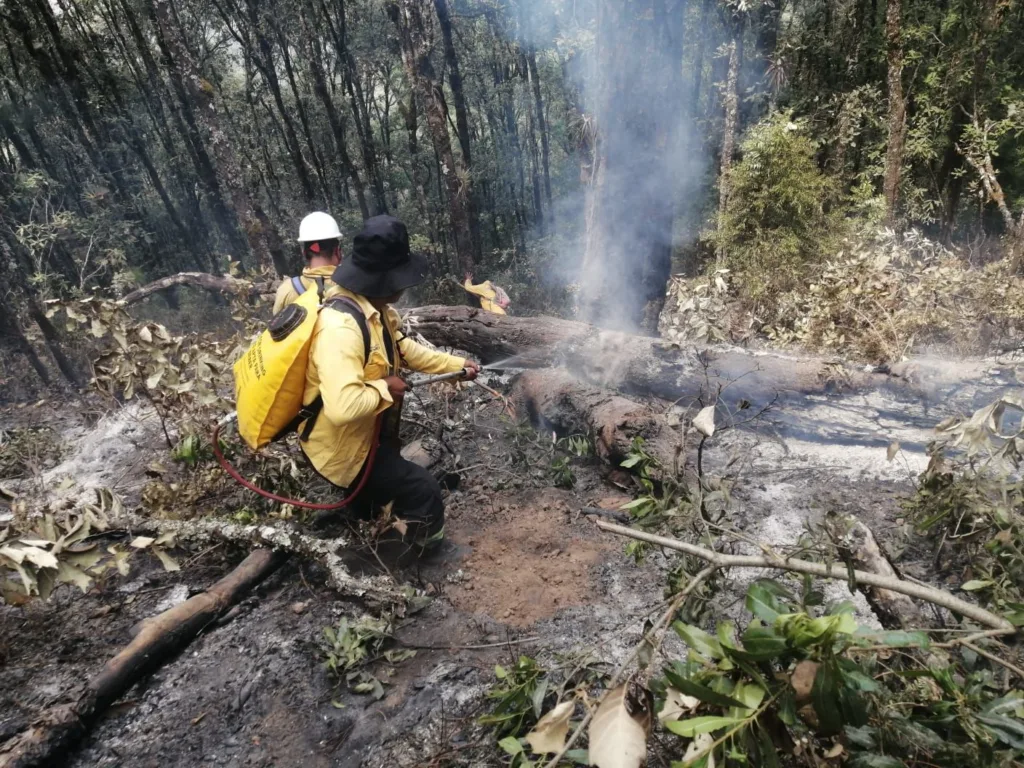 Personal de los tres niveles de gobierno trabajan en el combate de incendios forestales activos en Guerrero