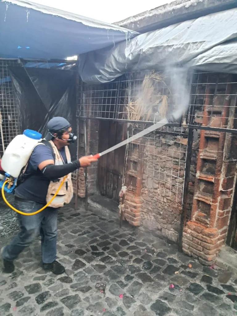 Se mantiene activa campaña para prevenir el dengue en Guerrero: SSG
