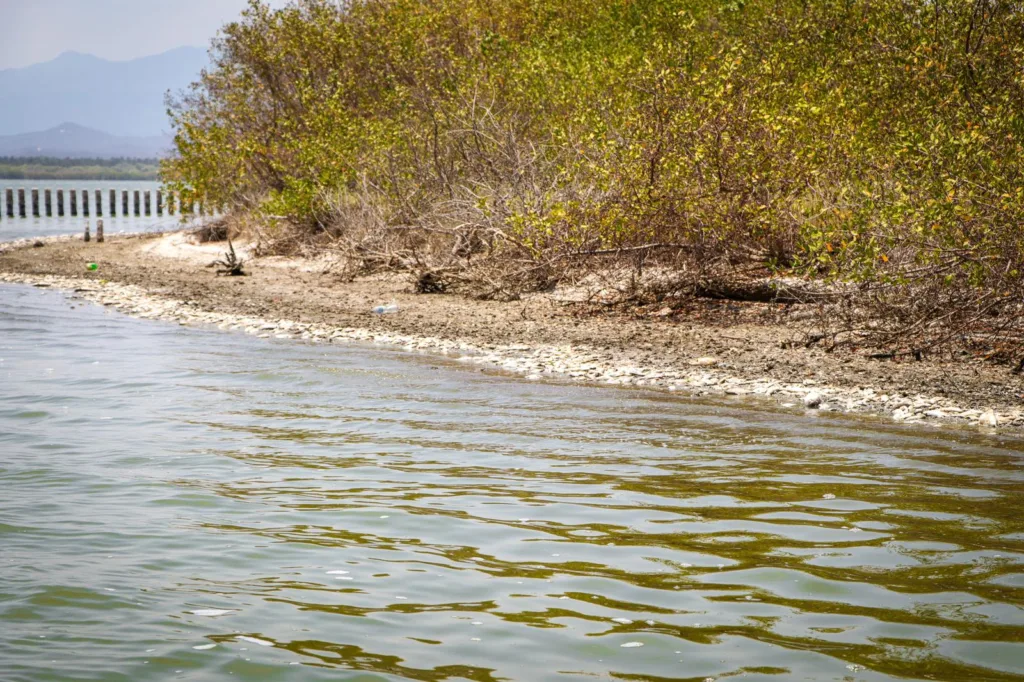 Atiende SAGADEGRO situación de mortandad de peces en laguna de Chautengo