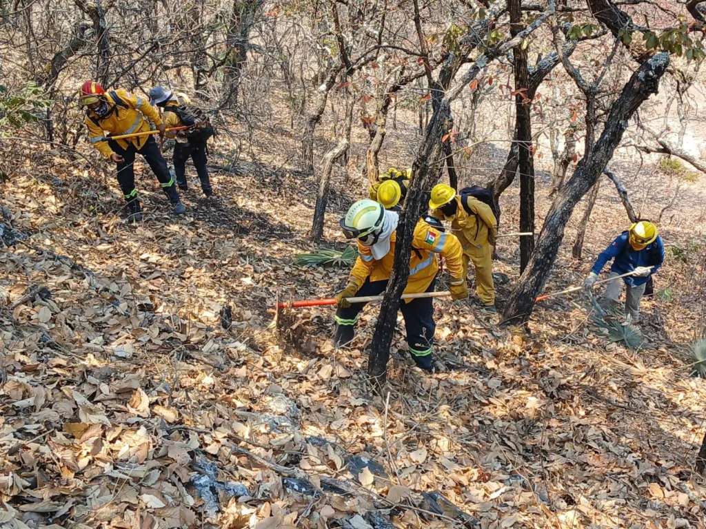 Se atienden 26 incendios forestales activos en Guerrero: SGIRPCGRO