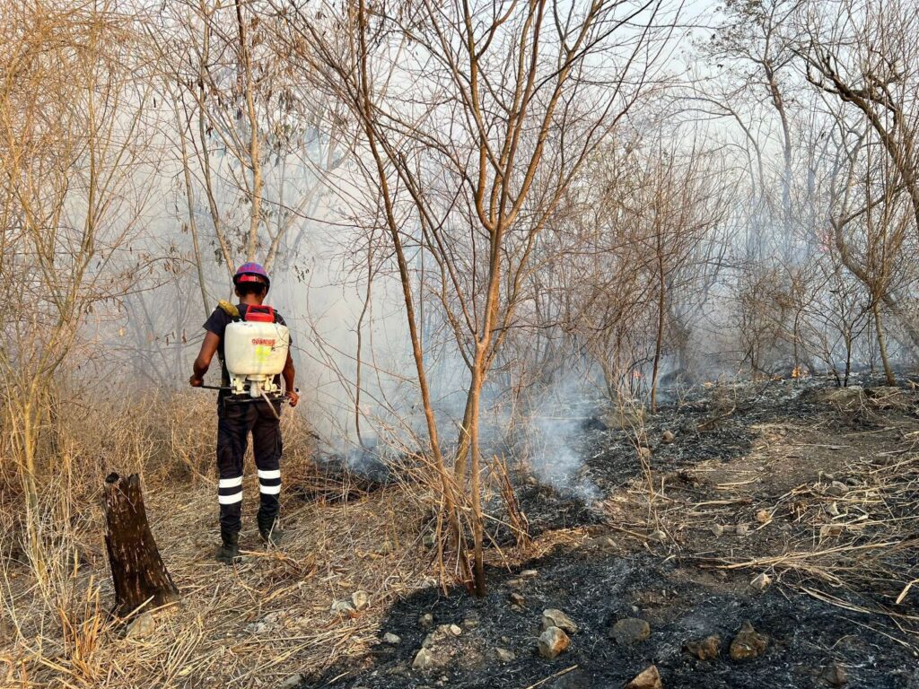 Se mantiene la atención de incendios forestales por la dirección de protección civil y bomberos de Zihuatanejo