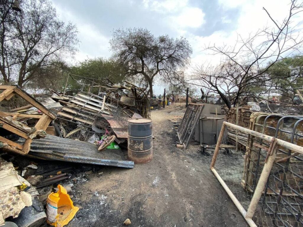 Guanajuato… Incendio en pastizal alcanza a un albergue y mueren 19 perritos junto con algunas aves