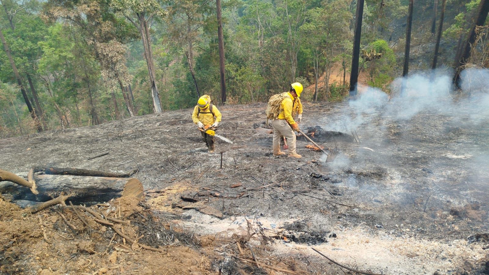 Atiende gobierno del estado cinco incendios forestales que afectan el municipio de Chilpancingo