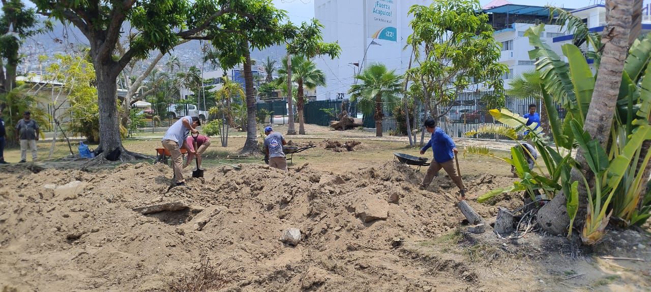 El parque Papagayo se prepara para la reforestación con medio millón de árboles y plantas