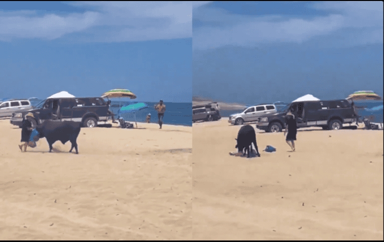 Toro ataca a una mujer en playa de Los Cabos