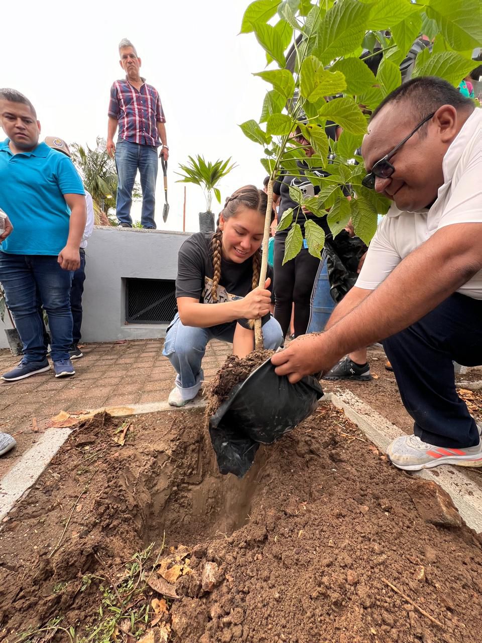 Con apoyo de la sociedad, avanza la reforestación del parque papagayo que impulsa la gobernadora Evelyn Salgado Pineda