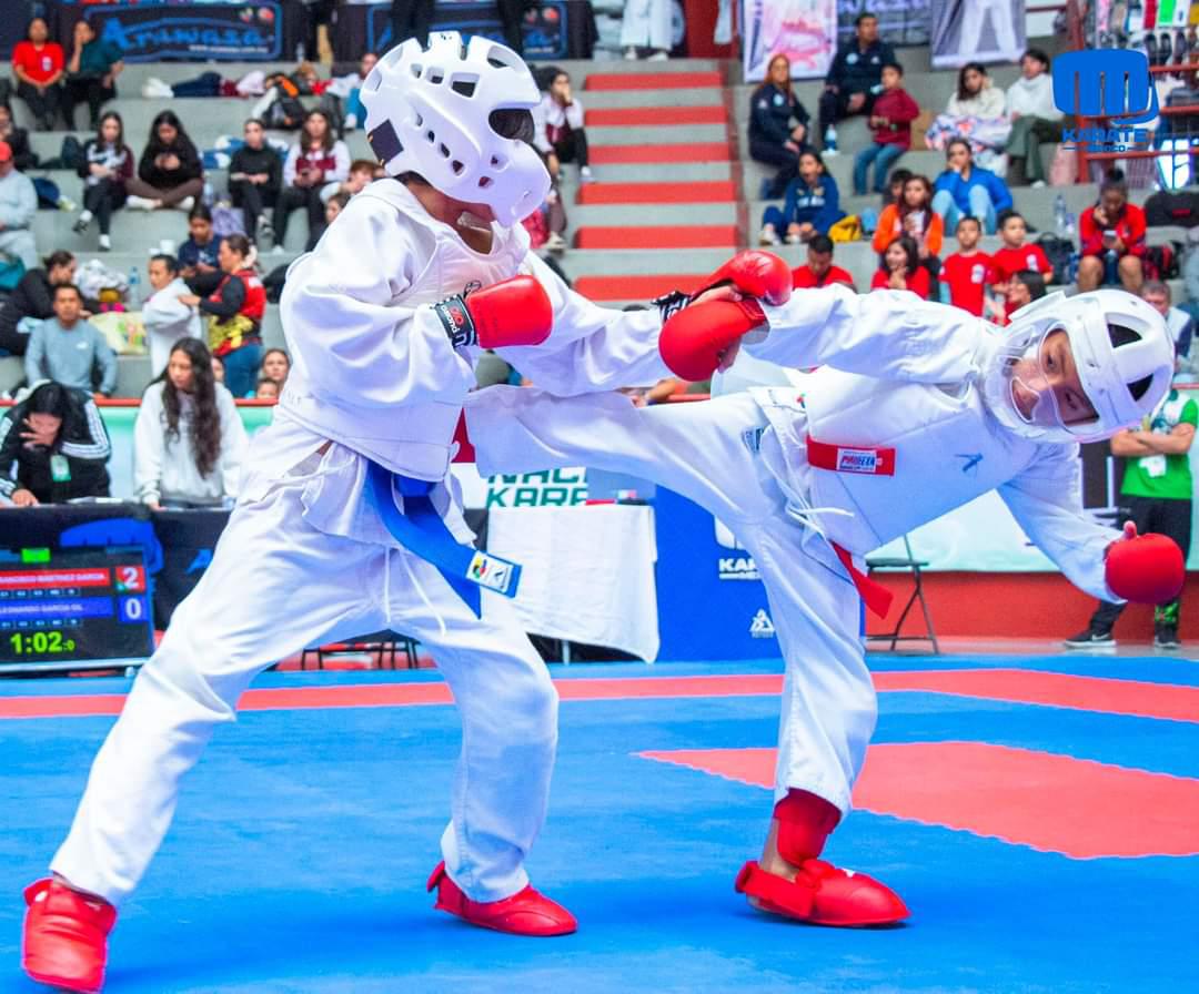 Logran deportistas guerrerenses tres medallas de oro y una de plata en el Campeonato Nacional Grados Kyu SLP 2024