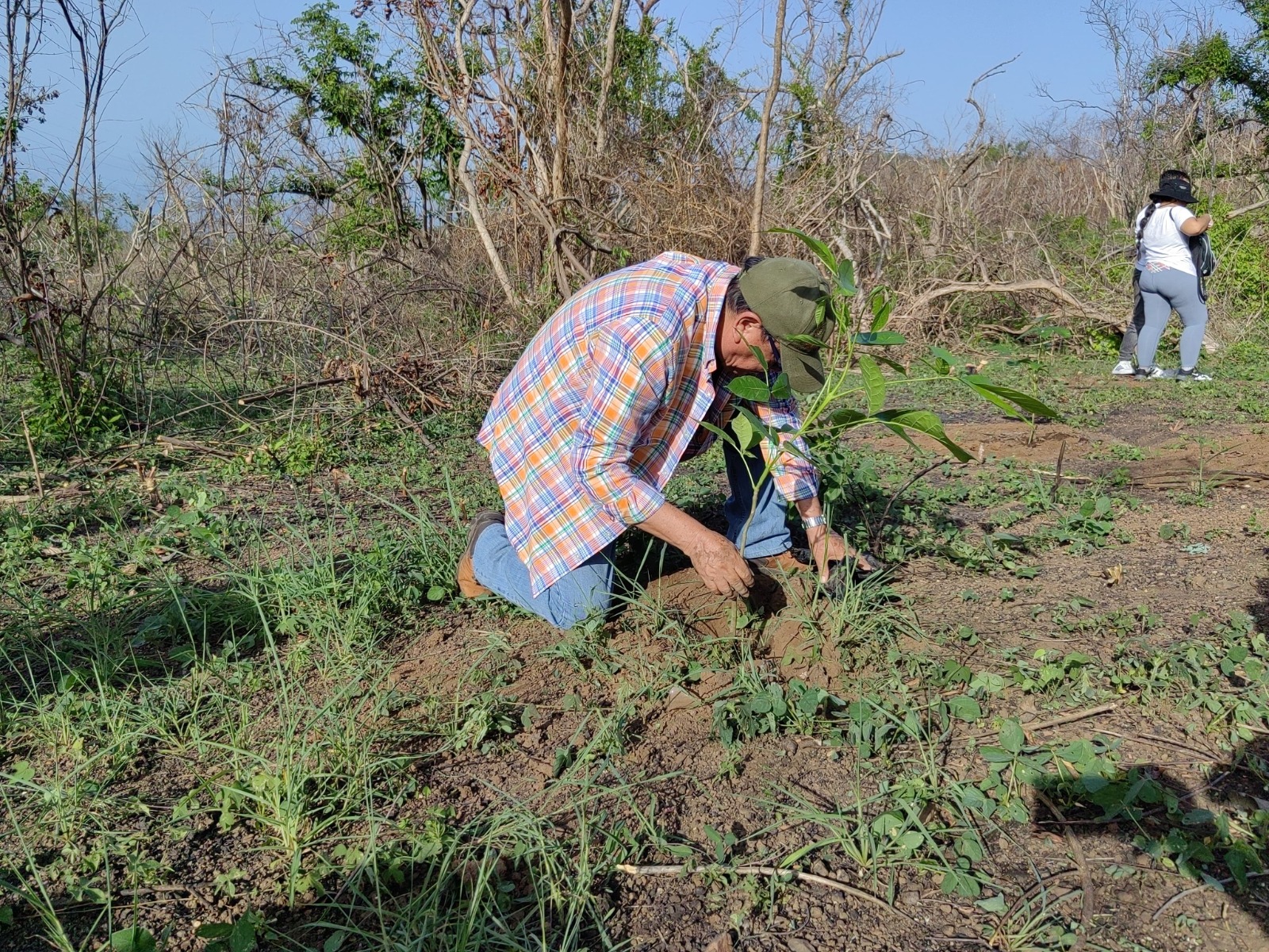 Con una reforestación, conmemora la SEMAREN el 44 aniversario de El Veladero