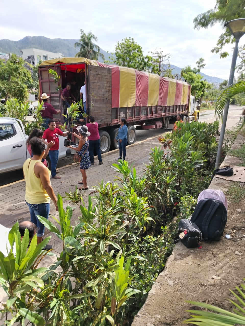 Dona el gobierno de la CDMX, 2 mil plantas para contribuir a la reforestación del puerto de Acapulco