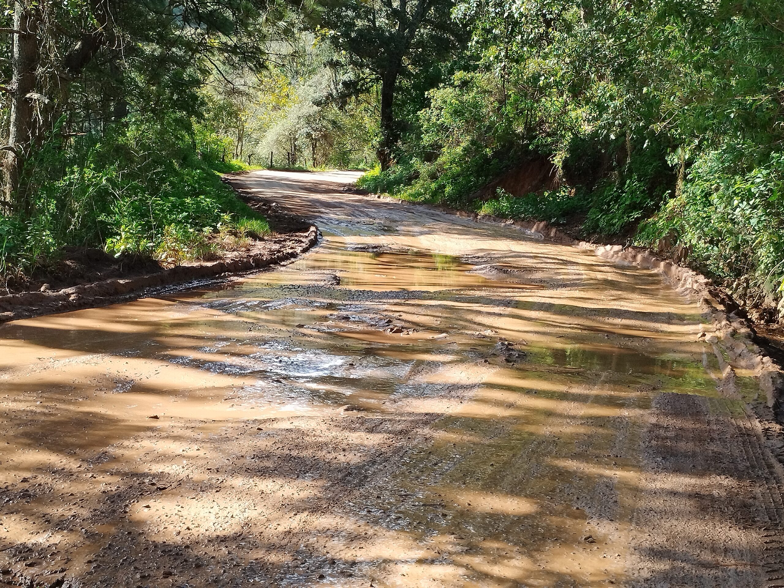 La carretera Chilpancingo Tlacotepec, severamente dañada por las lluvias