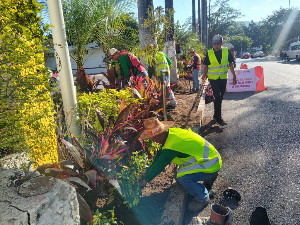 Gobierno de Guerrero moderniza Chilpancingo con el programa de mejoramiento de áreas verdes