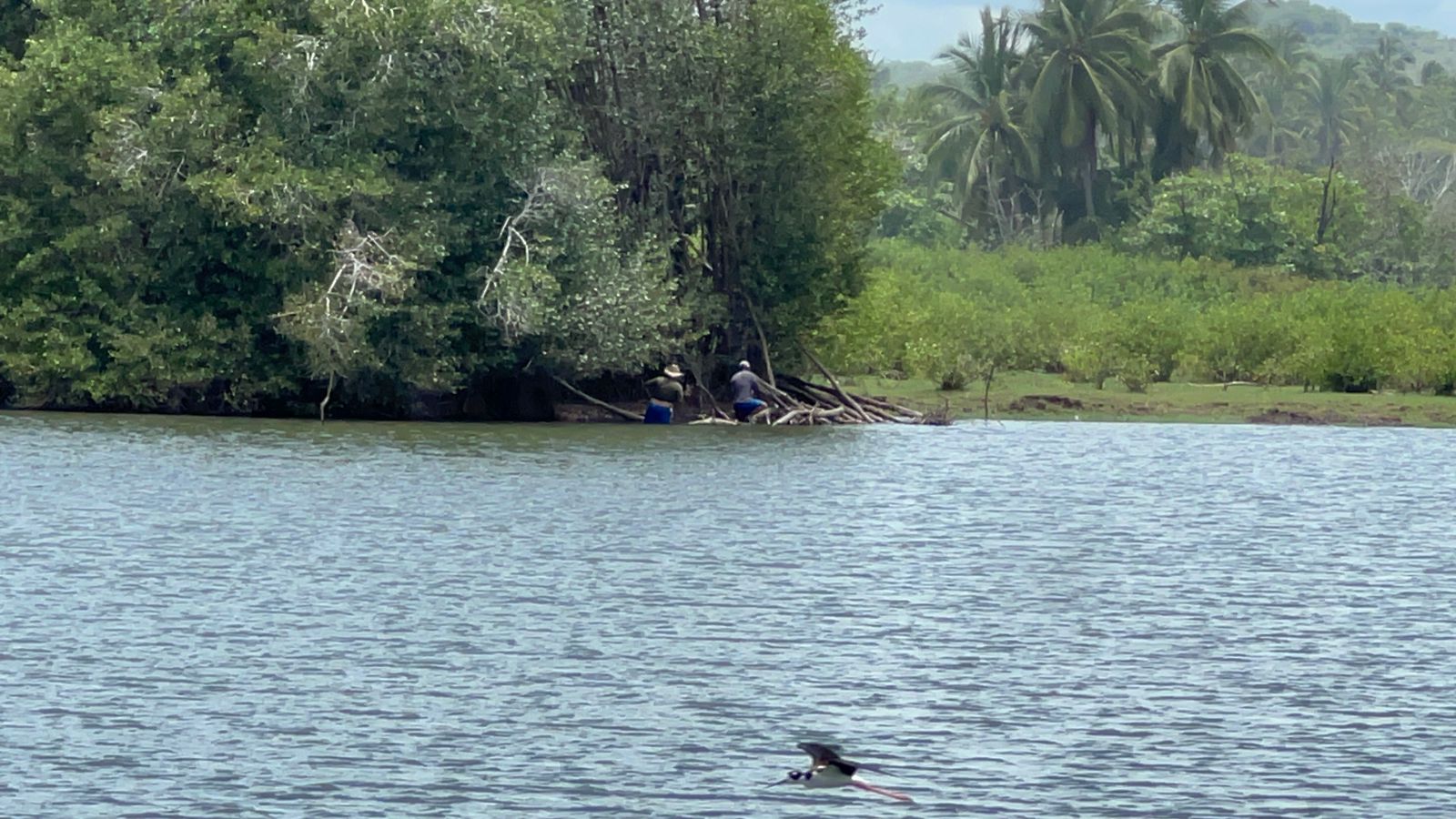 Pese a restricciones, siguen pescando en lagunas con cocodrilos