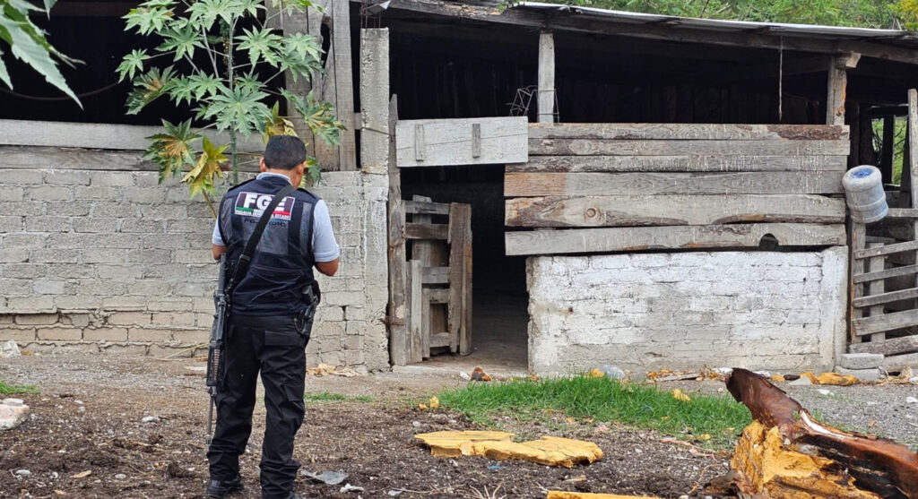 En Chilpancingo… Hallan ejecutado en un chiquero a un joven comerciante del mercado Leyva Mancilla