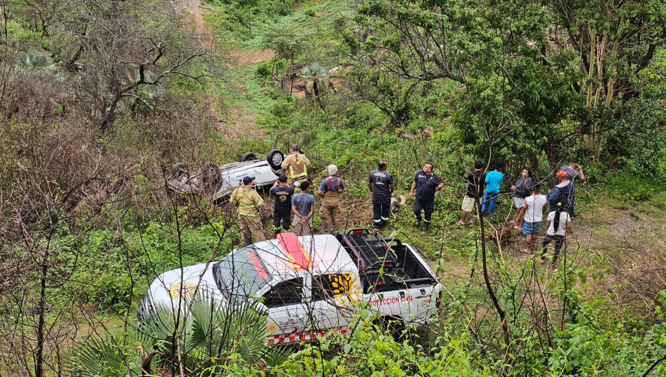 En Chilpancingo… Chofer cae con su taxi a un barranco de casi 20 metros de profundidad