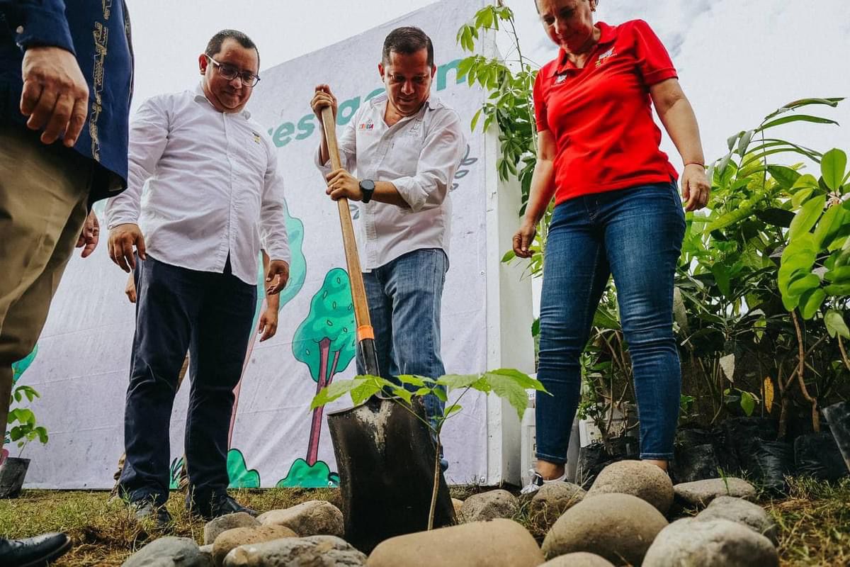 Gobierno de Zihuatanejo realiza jornada de reforestación por Día Nacional del Árbol