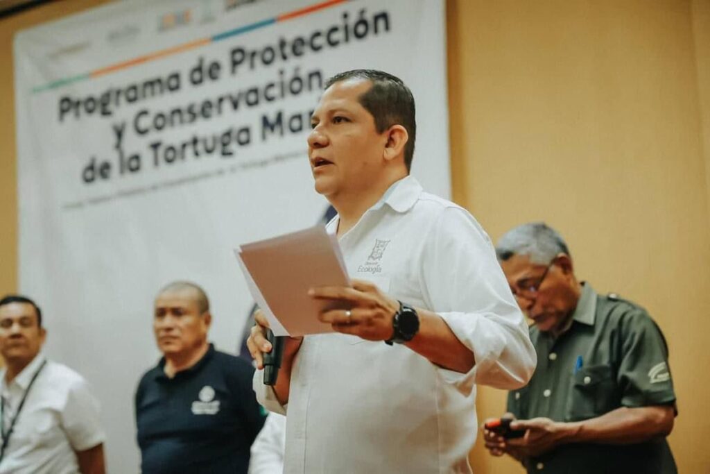 Zihuatanejo de Azueta, con mayores resultados en  protección de la tortuga marina