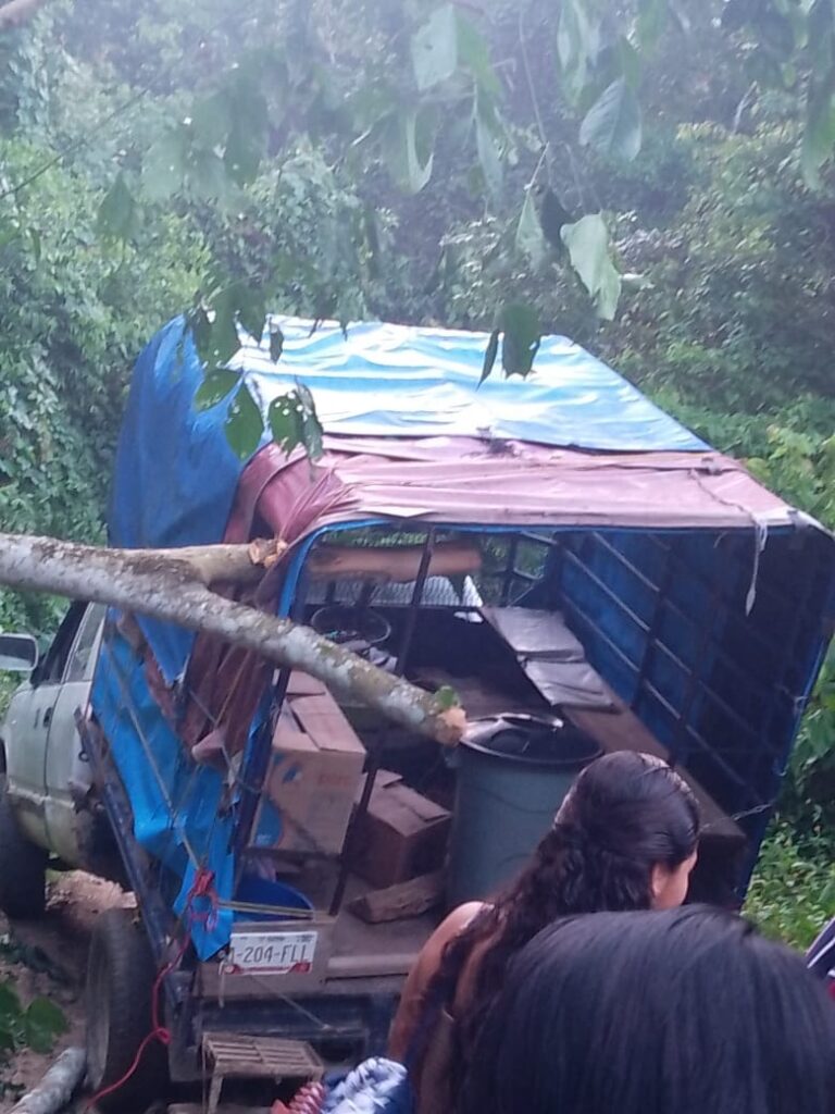 Accidente en la parte media de la sierra, un árbol por poco y degolla a un hombre