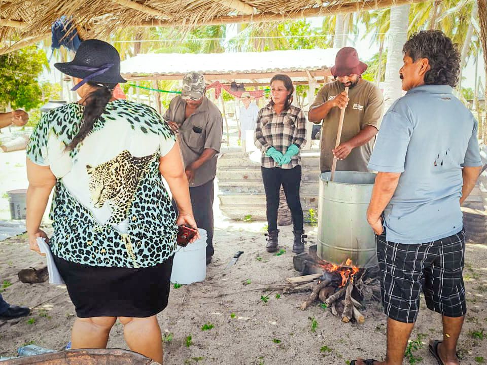 Fomenta Evelyn Salgado el mejoramiento de la productividad y la eliminación del uso de fertilizantes y herbicidas químicos