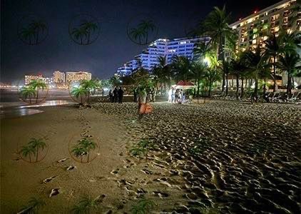 Turista michoacano fallece ahogado en Playa El Palmar