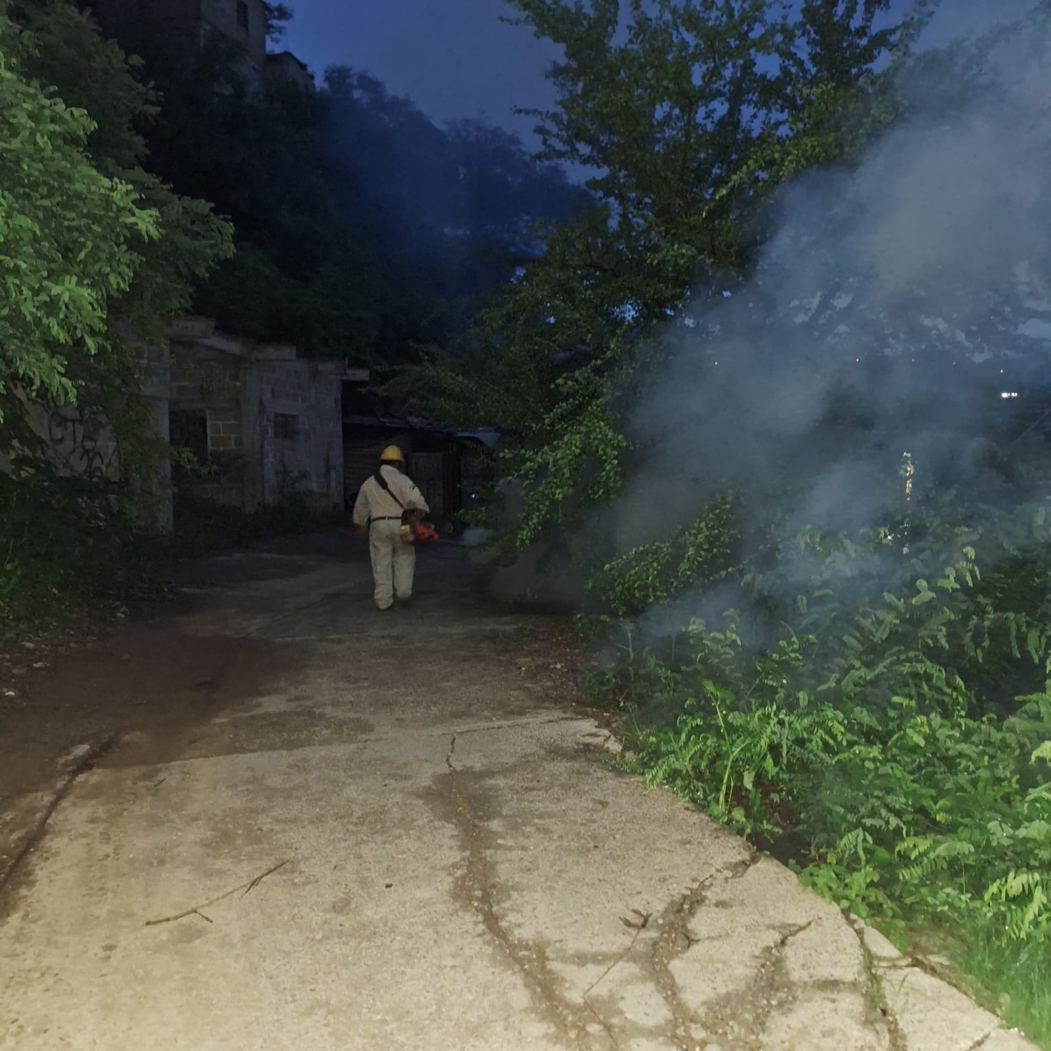 Refuerzan acciones para combatir el dengue en Tlapa