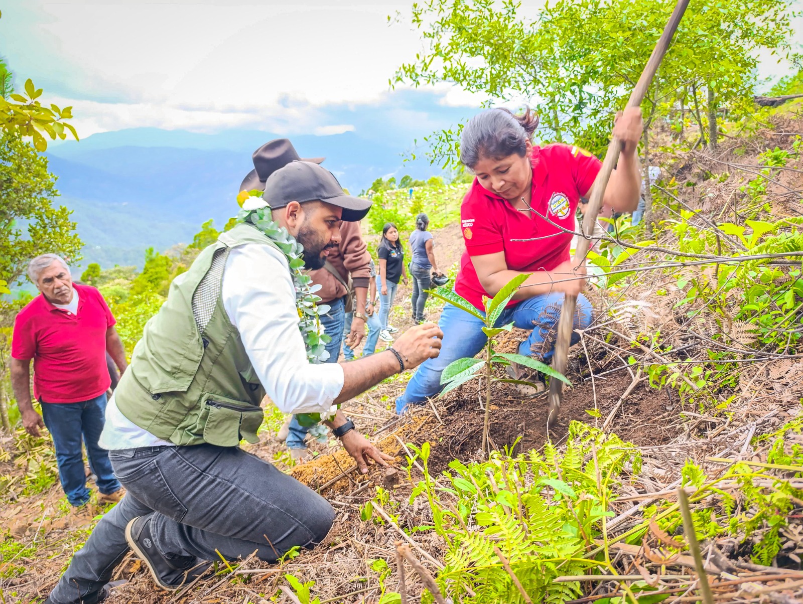 Sagadegro y Sembrando Vida realizan reforestación en Loma de Faisán, Malinaltepec