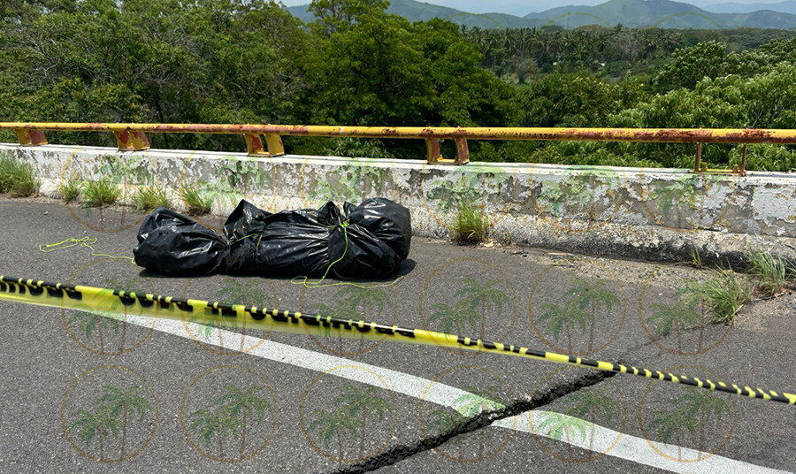 Localizan cuerpo envuelto en bolsas negras a la orilla de la carretera Zihuatanejo-Lázaro Cárdenas cerca de Pantla