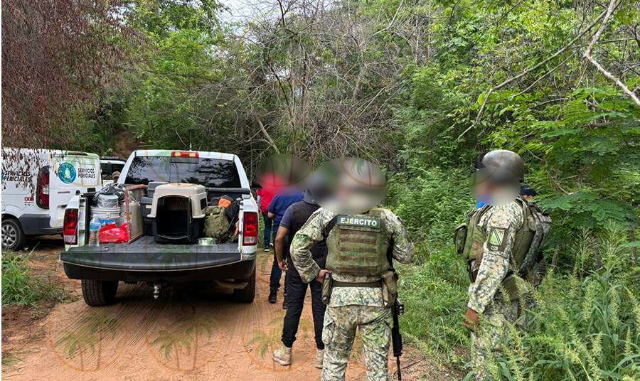 Descubren fosas clandestinas en Las Pozas